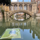 One of the artificial leaves floating on the River Cam near the Bridge of Sighs in Cambridge.
